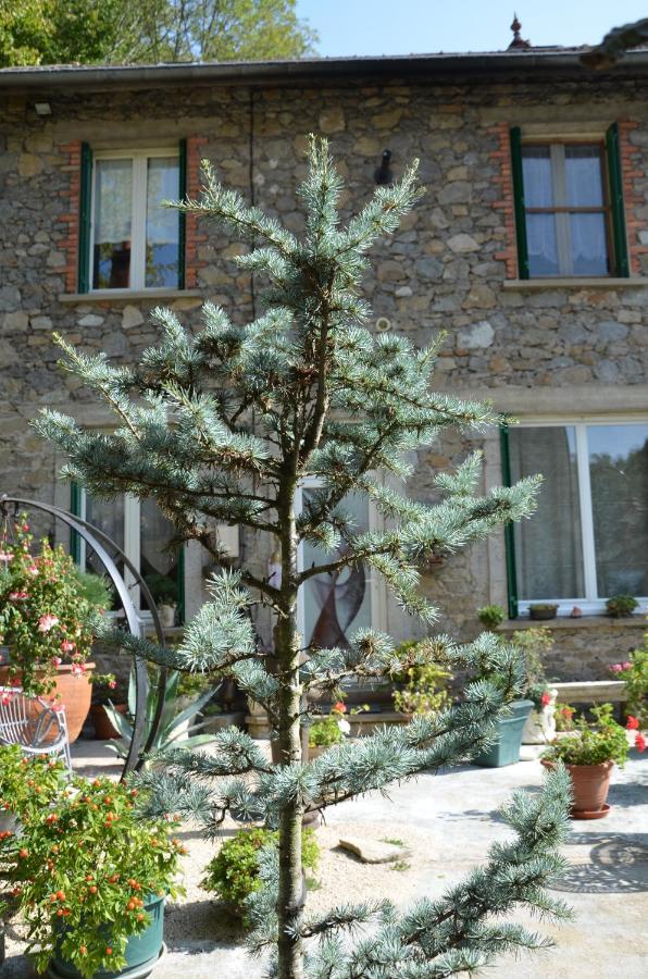 Chambre Bounty, B&B, Cuisine Privee, Lit Queen Size, Terrasse, Parking, Garage Olliergues 외부 사진