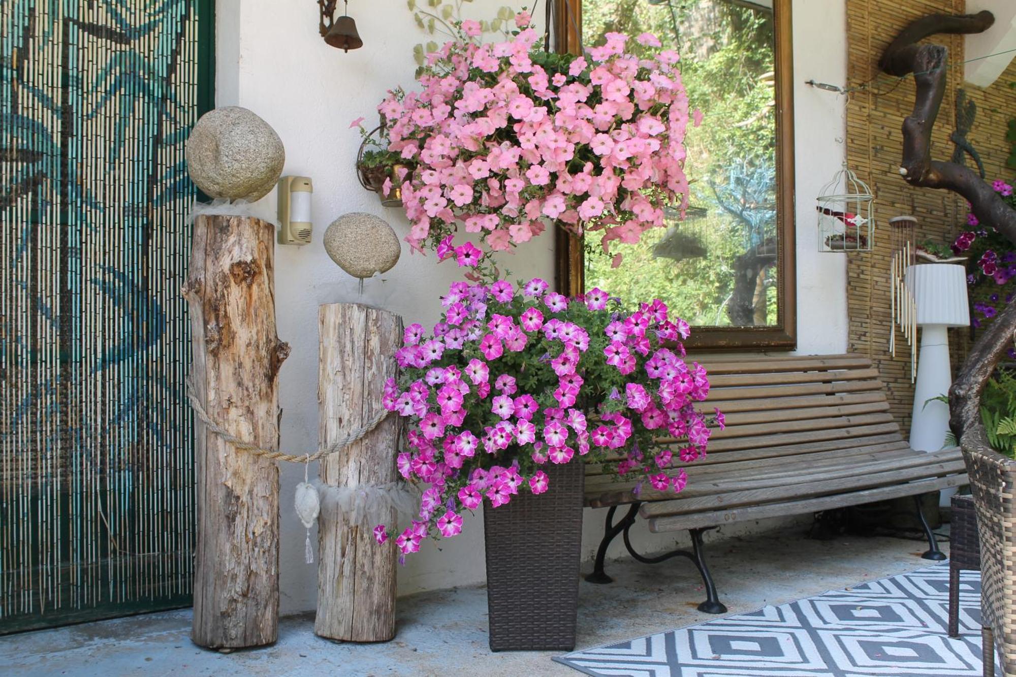 Chambre Bounty, B&B, Cuisine Privee, Lit Queen Size, Terrasse, Parking, Garage Olliergues 외부 사진